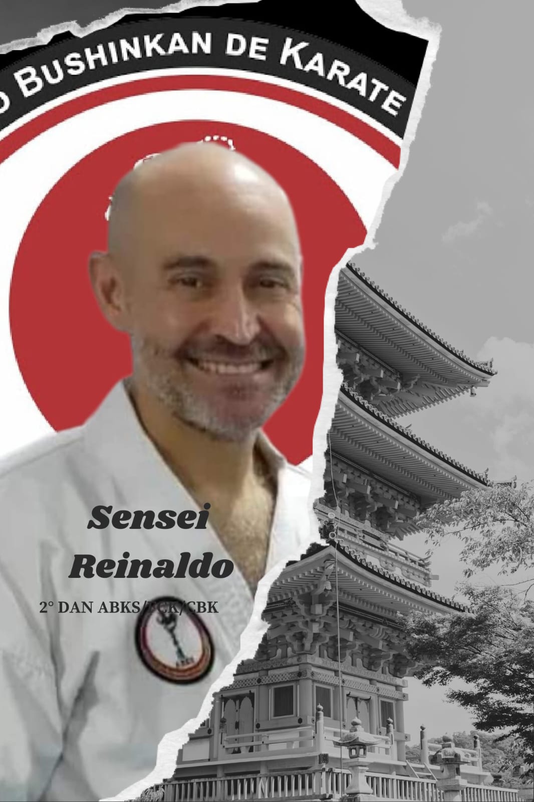 Conselho Fiscal Sensei Reinaldo